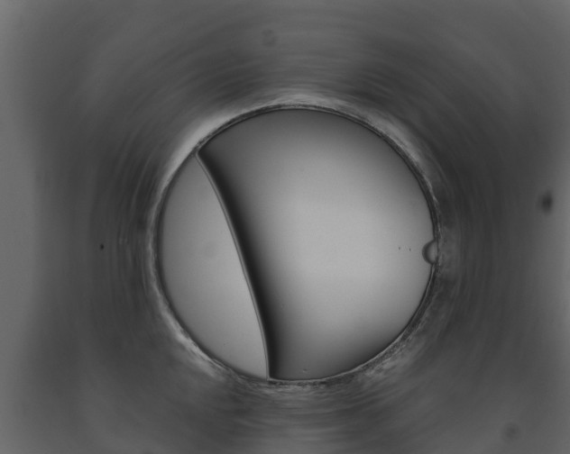X0000091711048200708240952