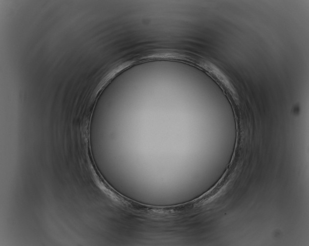 X0000091711049200708240952