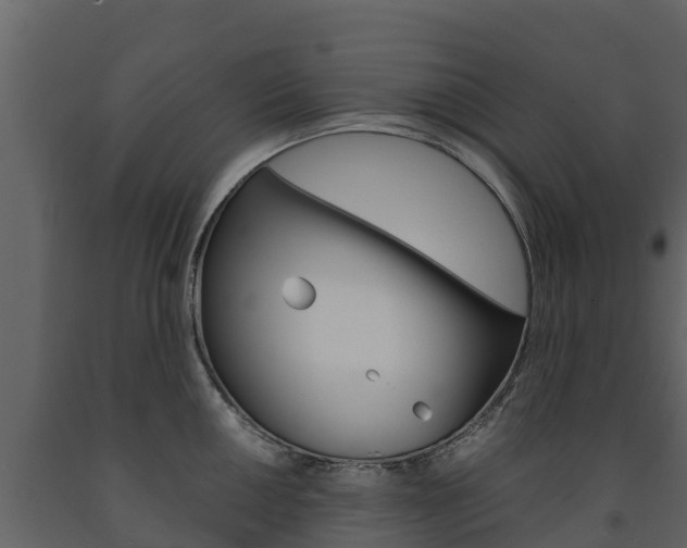 X0000091711050200708240952