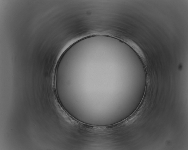 X0000091711052200708240952