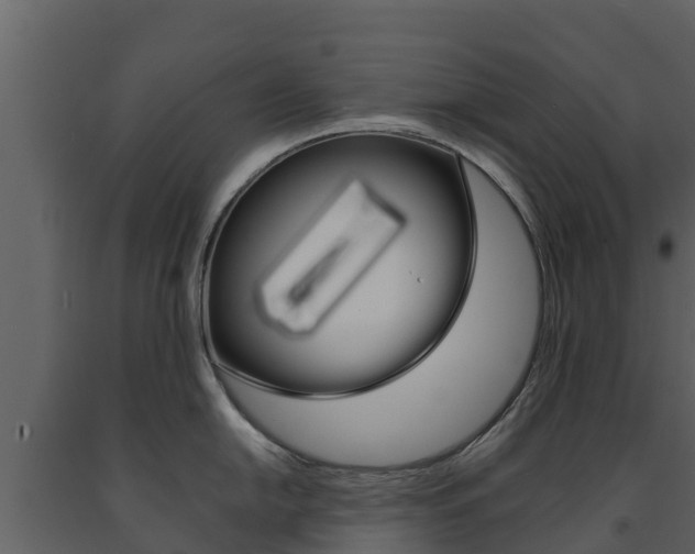X0000091711054200708240952