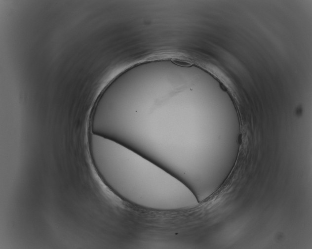 X0000091711055200708240952