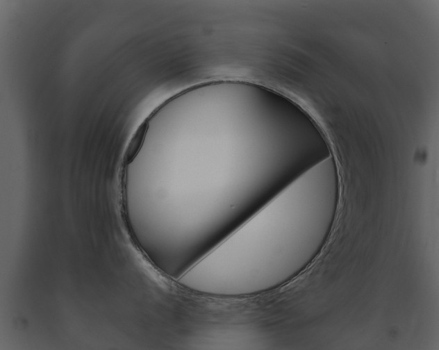 X0000091711056200708240952