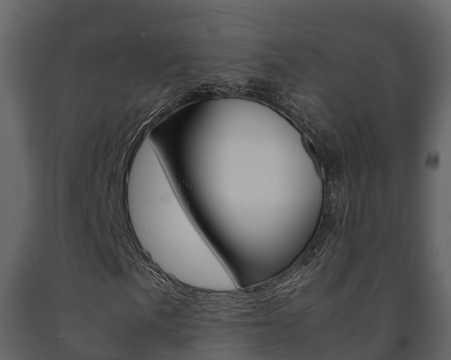 X0000091711057200708240951