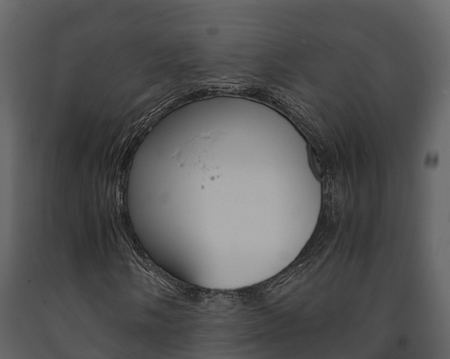 X0000091711058200708240951