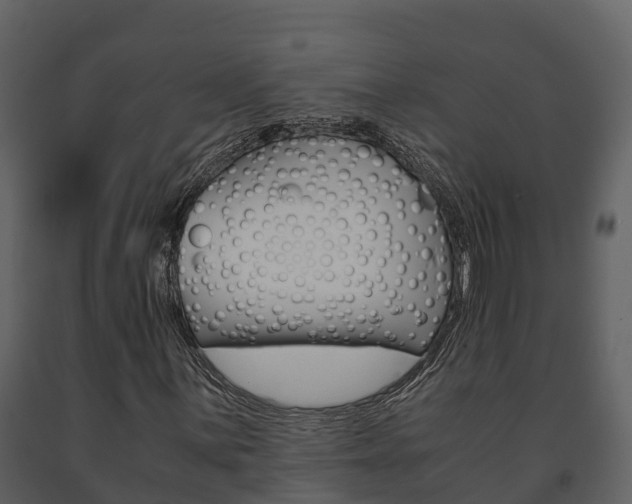 X0000091711059200708240951