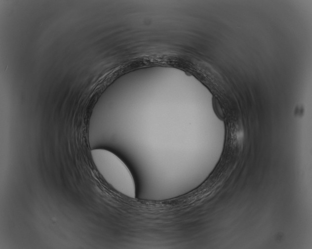 X0000091711060200708240951