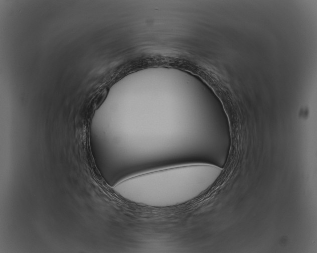 X0000091711061200708240951