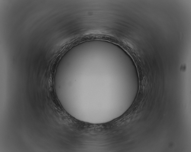 X0000091711062200708240951
