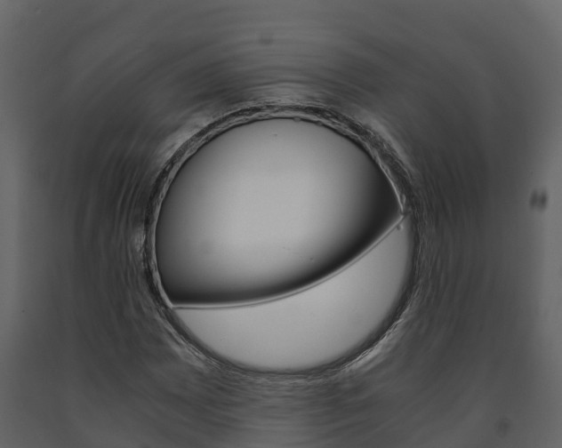 X0000091711065200708240951