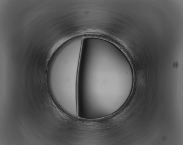 X0000091711066200708240951
