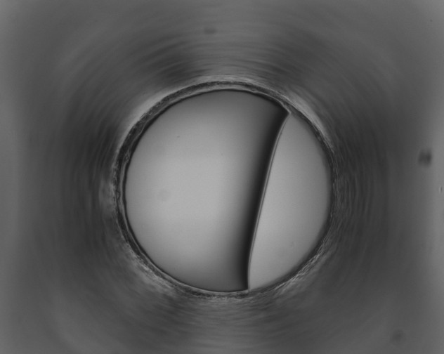 X0000091711068200708240951