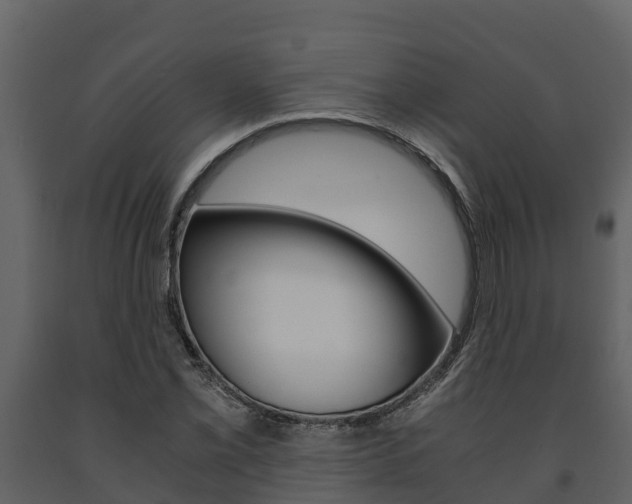 X0000091711069200708240951