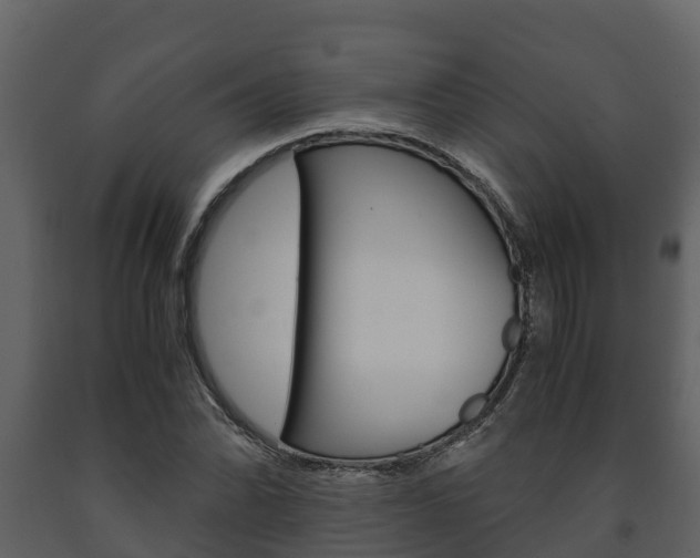 X0000091711070200708240951