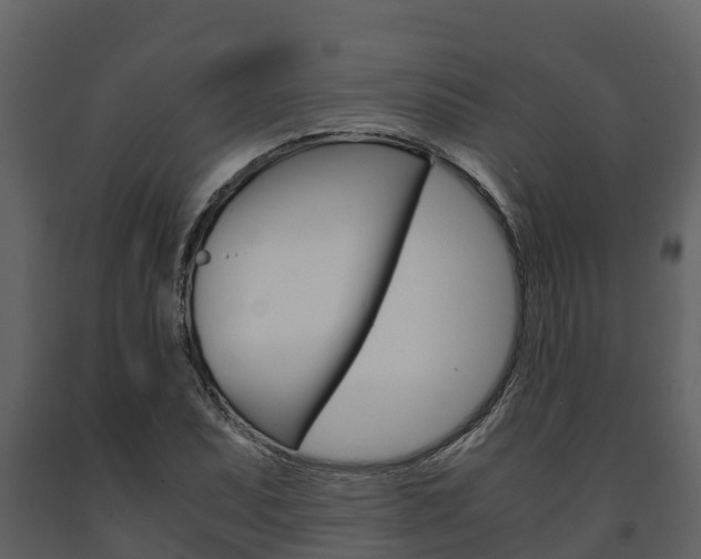X0000091711071200708240951