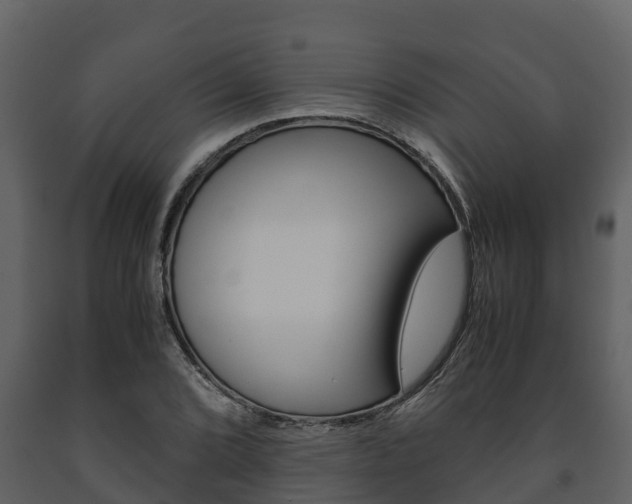 X0000091711072200708240951
