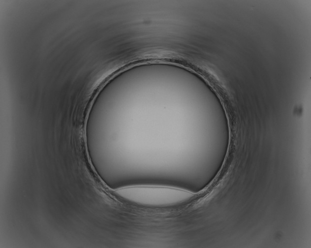 X0000091711073200708240951