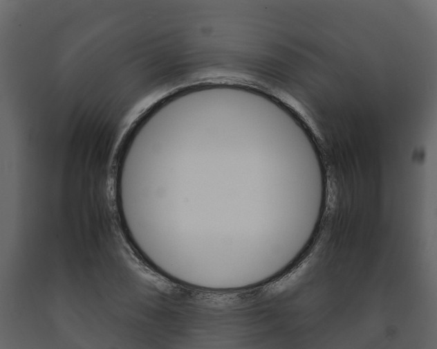 X0000091711074200708240951