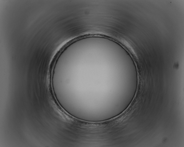 X0000091711076200708240951