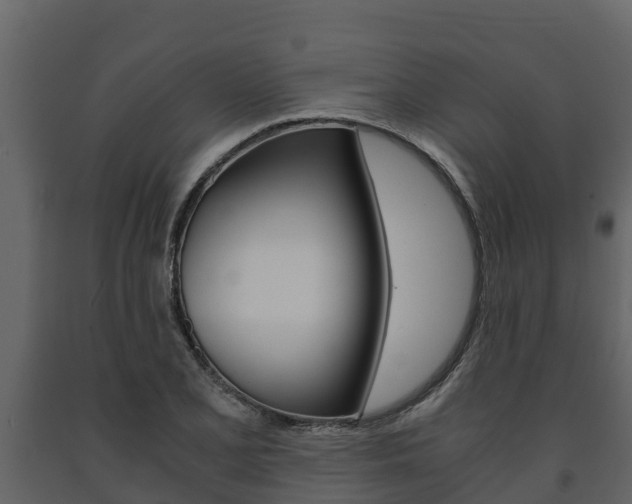 X0000091711077200708240951