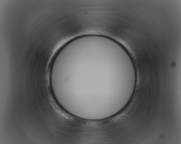 X0000091711078200708240951