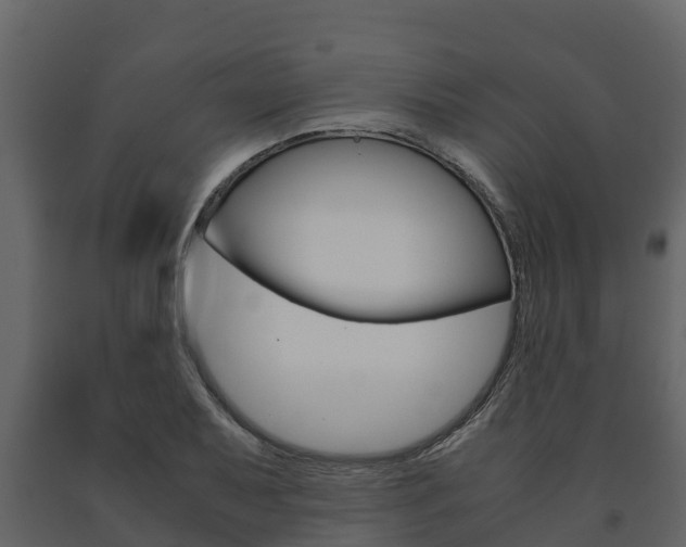 X0000091711079200708240951