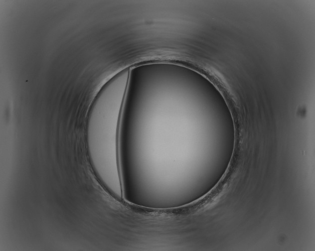 X0000091711081200708240951