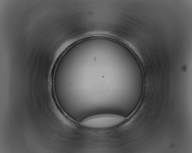 X0000091711082200708240951