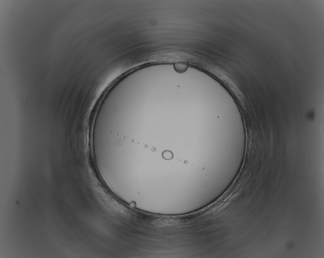X0000091711083200708240951