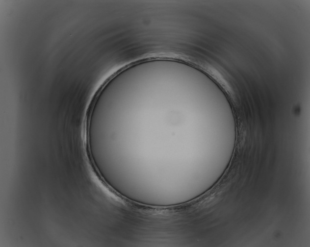 X0000091711084200708240951