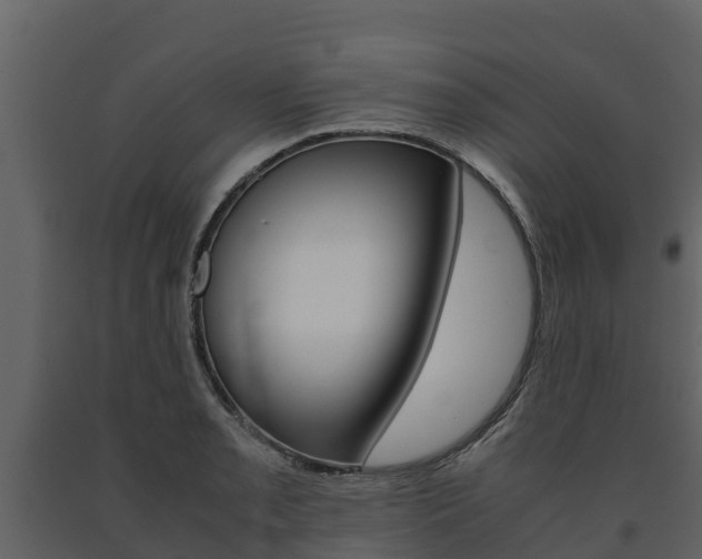 X0000091711085200708240951