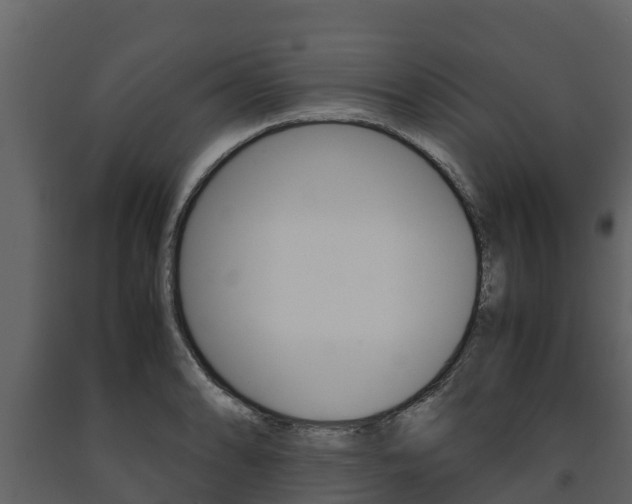 X0000091711086200708240951