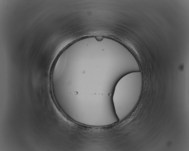 X0000091711087200708240951