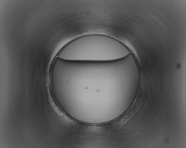 X0000091711088200708240951