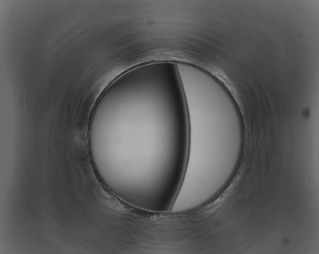X0000091711089200708240951