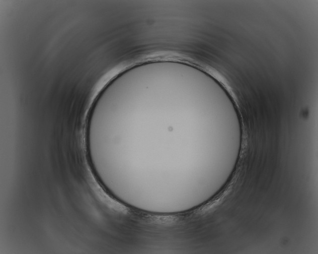 X0000091711090200708240951