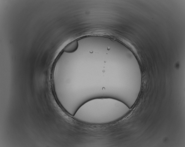 X0000091711091200708240951