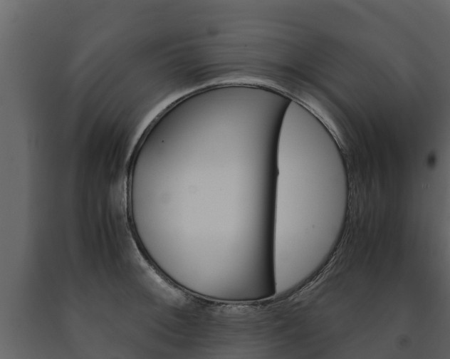 X0000091711092200708240951