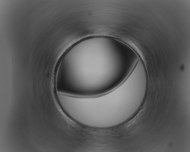 X0000091711093200708240951