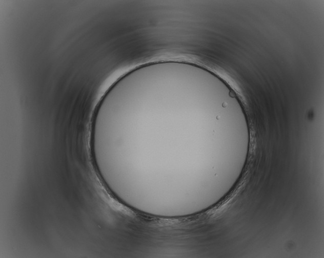 X0000091711094200708240951