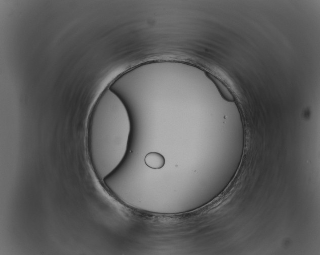 X0000091711095200708240951