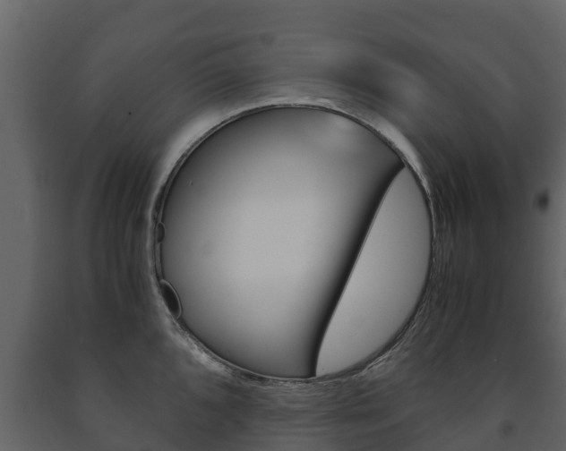 X0000091711096200708240951