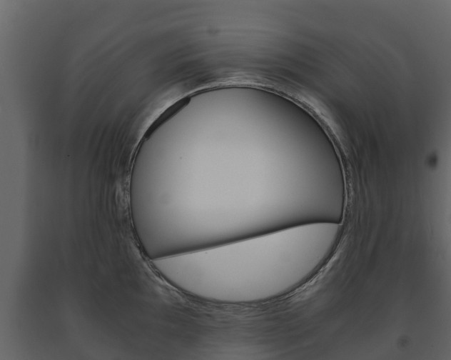 X0000091711097200708240951