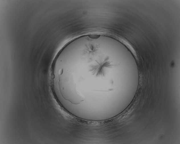 X0000091711099200708240951