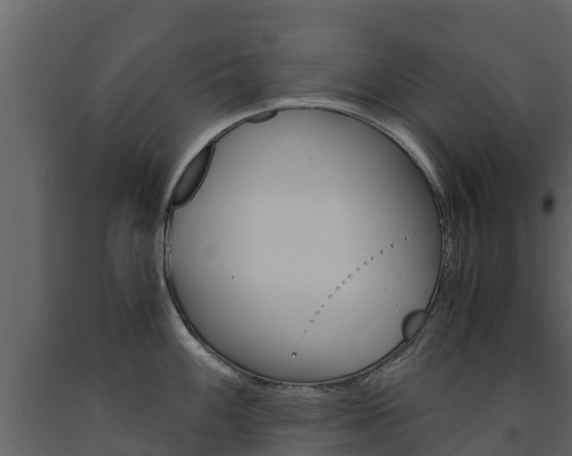 X0000091711100200708240951