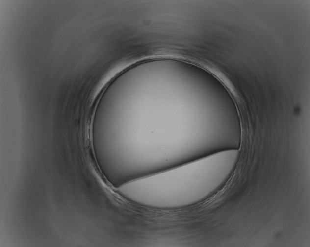 X0000091711101200708240951