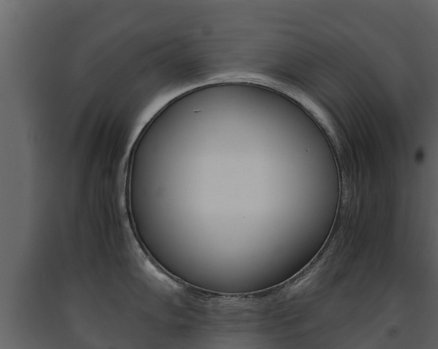 X0000091711102200708240951