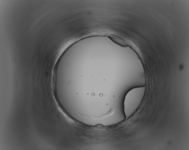 X0000091711103200708240951