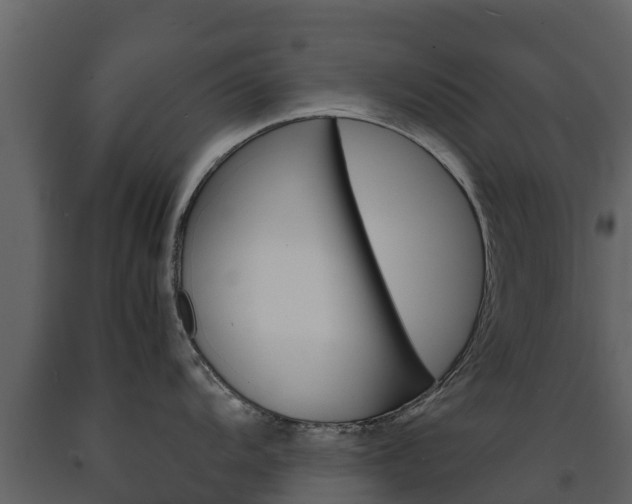X0000091711104200708240951