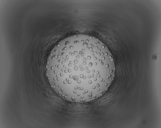X0000091711105200708240950